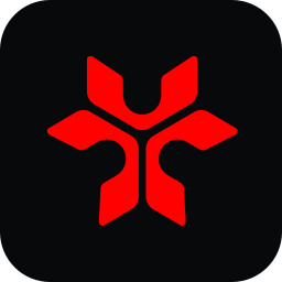 NetRise logo
