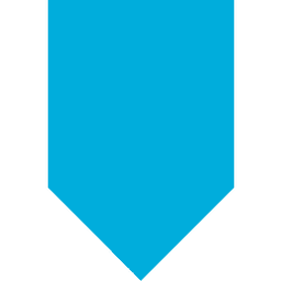 StorageCraft (an Arcserve company) logo